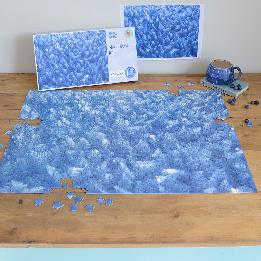 Impuzzible No.17 Natural Ice 1000 Piece Impuzzible Jigsaw Puzzle