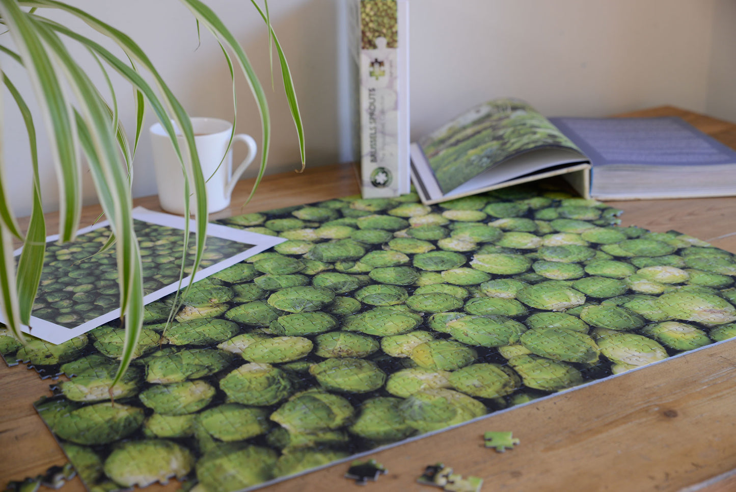 Brussel Sprouts - Impuzzible No. 28 - 1000 Piece Jigsaw Puzzle